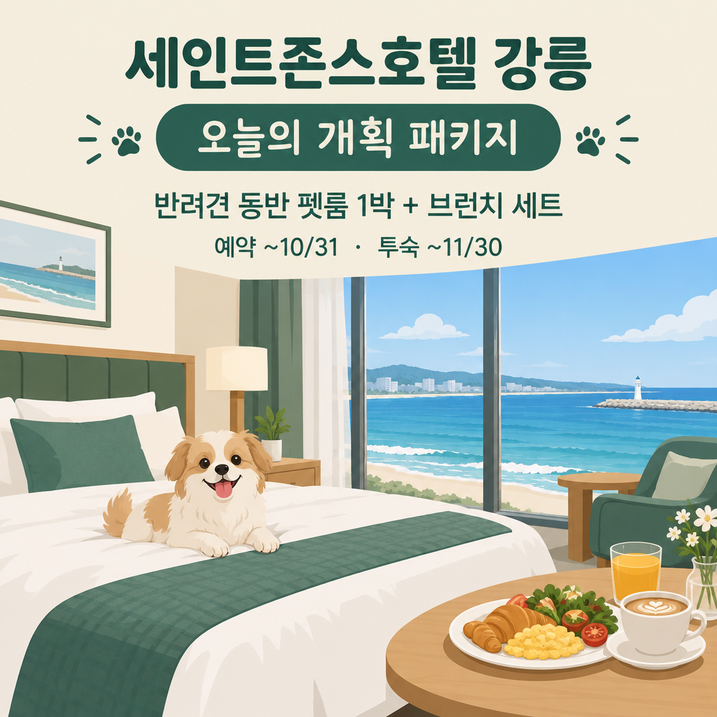 세인트존스호텔 강릉 반려견 동반 오늘의 개획 패키지 안내 일러스트